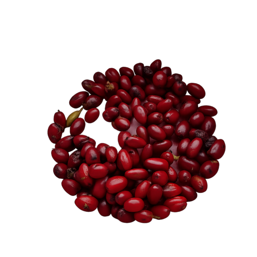 Premium Erythroxylum Coca Seeds & Research Plants